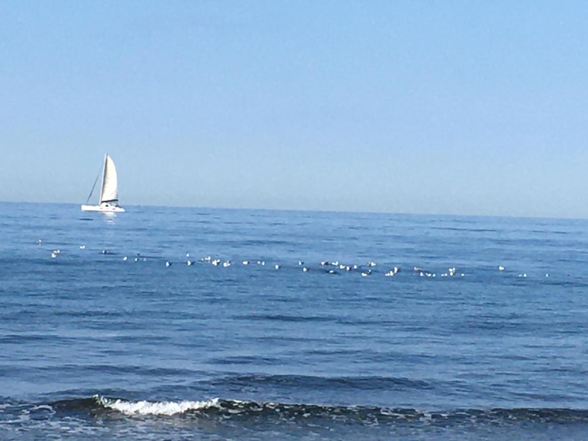 La Mouette Bleue Maison De Ville Individuelle Et Climatisee Martigues Ngoại thất bức ảnh